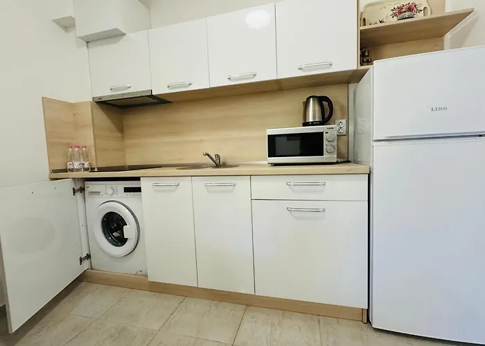 Horizon 10 'б' 圣弗拉斯